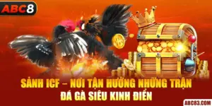 Sảnh ICF – Nơi Tận Hưởng Những Trận Đá Gà Siêu Kinh Điển