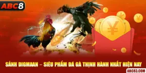 Sảnh Digmaan – Siêu Phẩm Đá Gà Thịnh Hành Nhất Hiện Nay