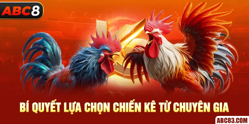 Bí quyết lựa chọn chiến kê từ chuyên gia