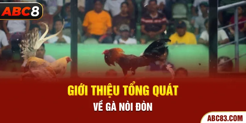 Giới thiệu tổng quát về gà nòi đòn